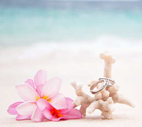 Yellow gold diamond wedding bands layered on a piece of coral next to a pink Hawaiian flower on a white sand beach.