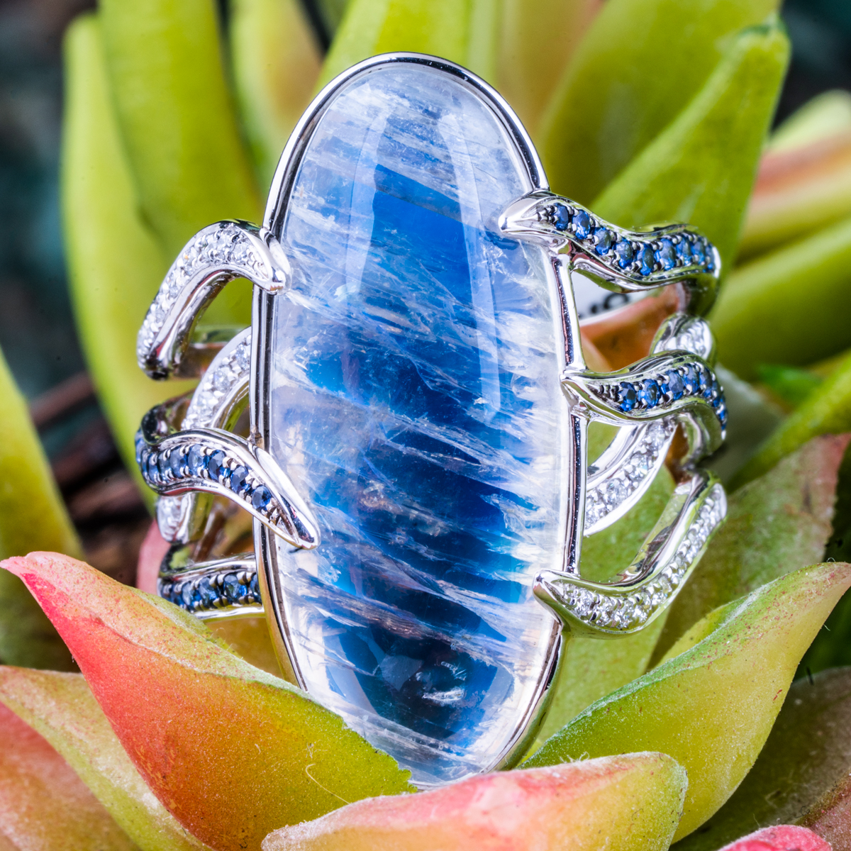 White gold four-row open ring set with diamonds, blue sapphires, and centered with moonstone.