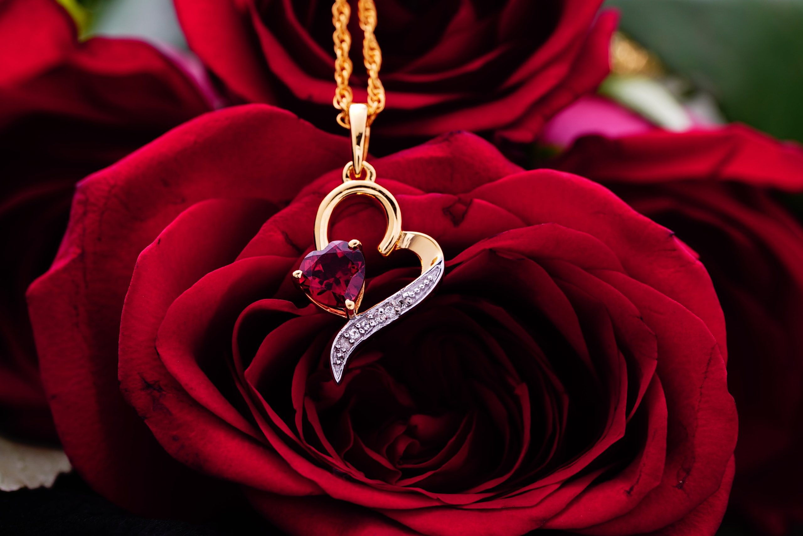 Yellow gold heart necklace set with a ruby and diamonds in front of red rose background.