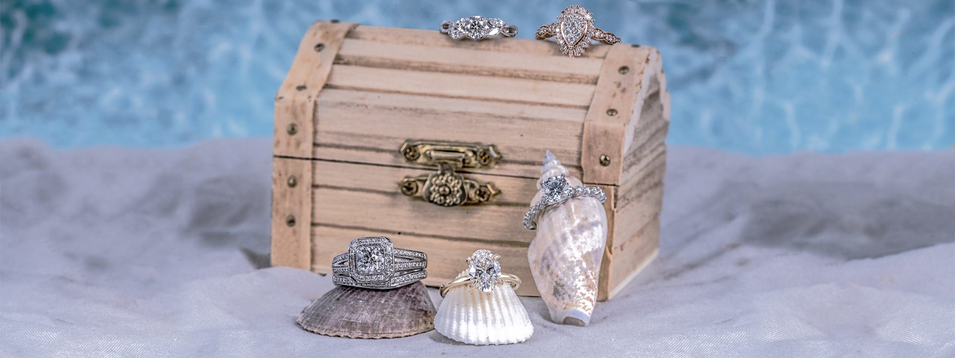 Five diamond engagement rings placed on seashells.