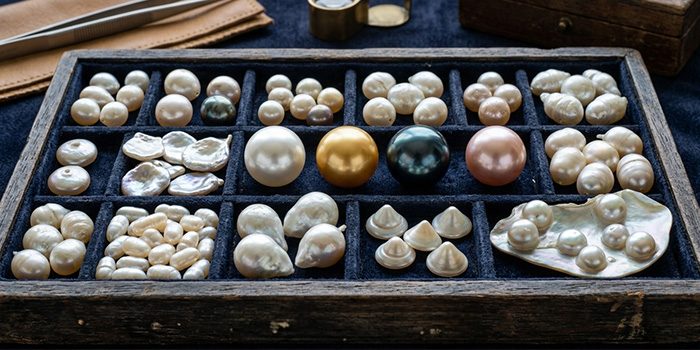 a close-up image of a jeweler's box filled with different types of pearls. This picture illustrates that pearls come in various shapes, sizes, and colors